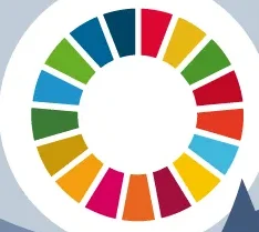 Website Sustainability 